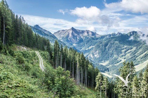 Blick vom Laubschachenweg im Preuneggtal bei Pichl zur Steirischen Kalkspitze