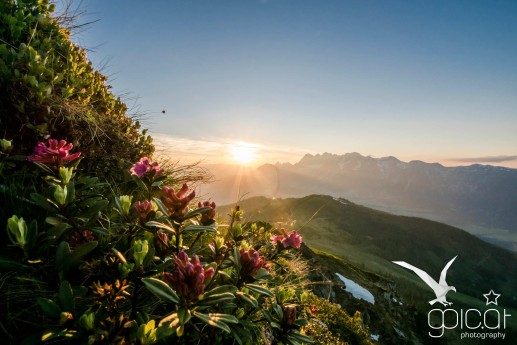 Sonnenuntergang im Hochsommer - Blick vom Krahbergzinken über die Planai zum Dachstein